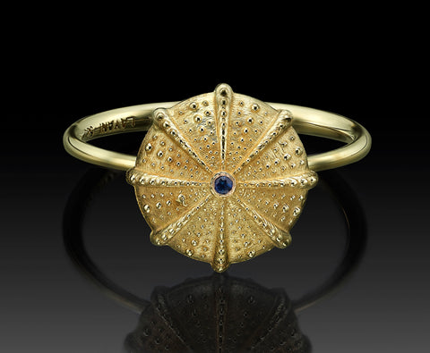 Front view of the sea urchin ring showing the radiating ridges and granulated texture